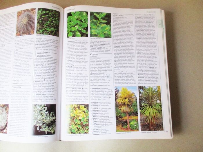 A - Z Encyclopedia Of Garden Plants