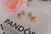 New genuine pandora earrings