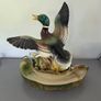 Ceramic Lamp/Planter  Duck Image 4
