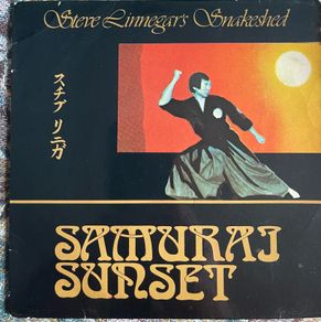 Steve linnegars snakeshed. Samurai Sunset picture sleeve vinyl record single in vg+ condition
