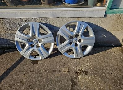 17" Hub caps.