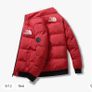 North face puffer Fake Image 4