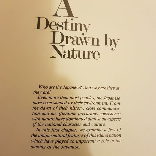 The Dawns Of Tradition .japanese Cultural.