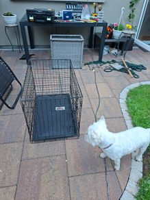 Animal cage