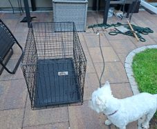 Animal cage