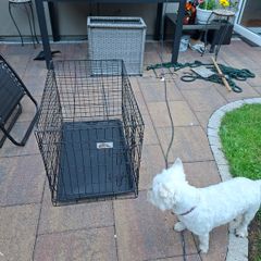 Animal cage