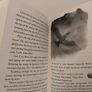 The umbrella mouse books by Anna Fargher Image 7