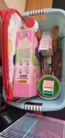 Free Hamster cage and Accessories