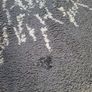 Rug 40200 cms x 200.cms Image 2
