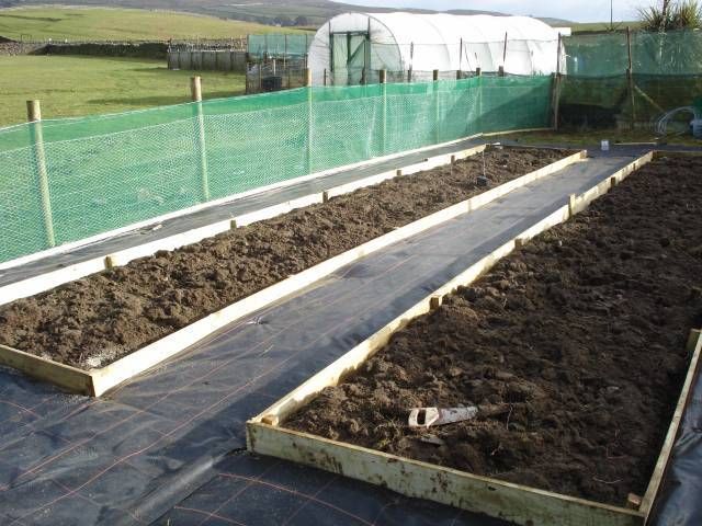 mypex weed control barrier  weed suppressant  weed mat