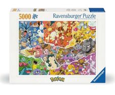 5000 piece Jigsaw