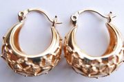 Vintage  Gold Plated Great Earrings