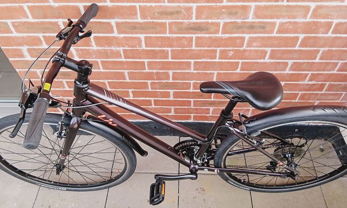 Ladies giant liv alight road bike hardly used