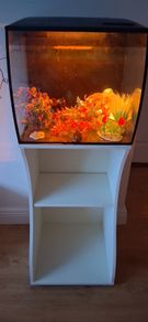 Aquarium & Stand