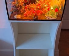 Aquarium & Stand
