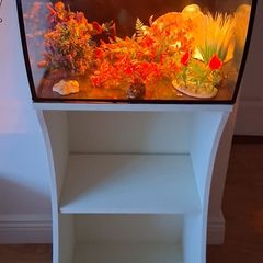 Aquarium & Stand