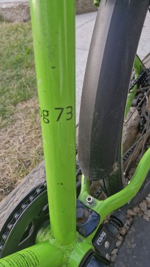 FROG 73 bike