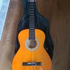 Freedom Guitar