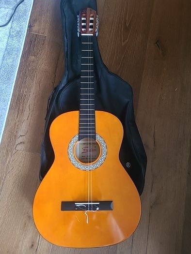 Freedom Guitar
