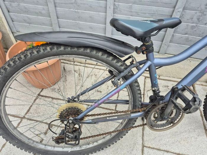 2 adult bikes