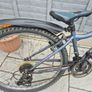 2 adult bikes Image 6