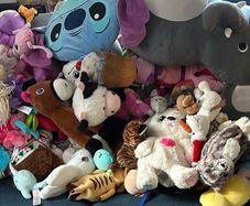 Bag of Teddies