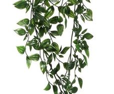 Fejka Artificial Potted Plant, Indoor/Outdoor, Hanging, 9cm