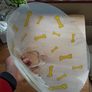 Dog cone - 20cm - free Image 5