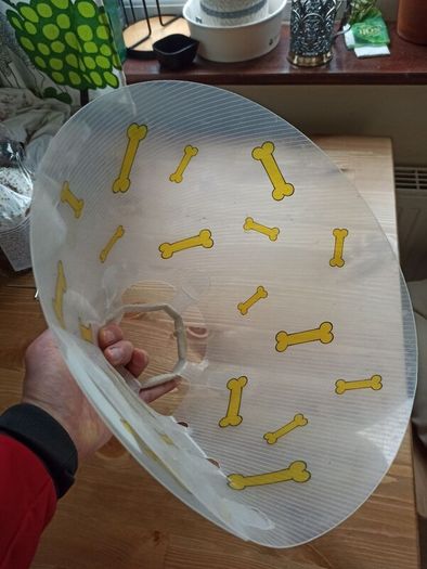 Dog cone - 20cm - free