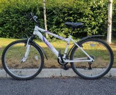Girls Bike