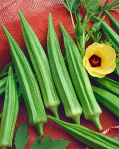 (O) Okra Ladies Fingers seeds 1g (210626)