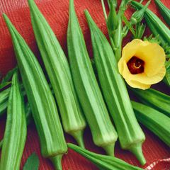 (O) Okra Ladies Fingers seeds 1g (210626)