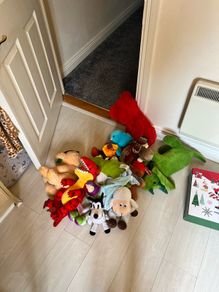 Teddies