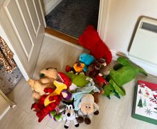 Teddies