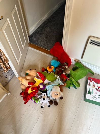 Teddies