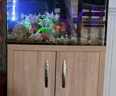 Fish tank and cabinet