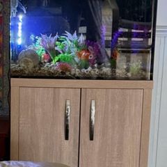 Fish tank and cabinet