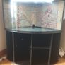 Fish tank Image 3