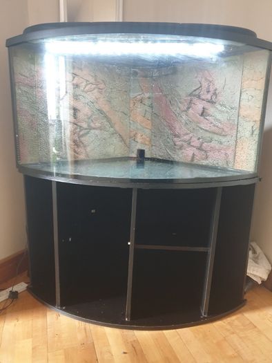 Fish tank