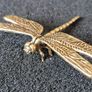 3 brass Insects, Solid brass. Image 7