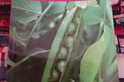 Growing Vegetables/ Royal Horticultural Society