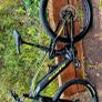 bike Image 9
