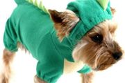 Dinosaur Dog Halloween Costume Pet Dino Hoodie For Small &amp; Medium Dogs Multiple Sizes/colours Available, See Description (free Postage)