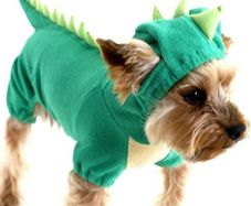 Dinosaur Dog Halloween Costume Pet Dino Hoodie For Small & Medium Dogs Multiple Sizes/colours Available, See Description (free Postage)