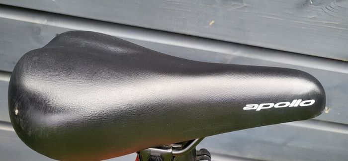 Bike- Kids 20"