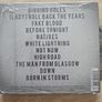 Raglans CD - Raglans  (NEW) Image 2