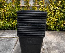 12x Deep Plastic Plant Pots