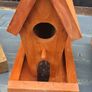 bird box Image 2
