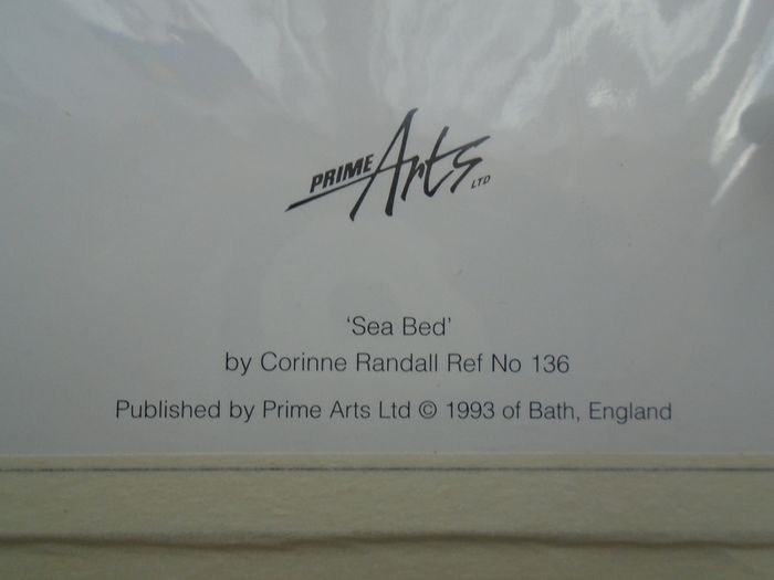 "Sea bed", Corinne Randall, Print, Picture,New
