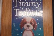 Timmy in Trouble